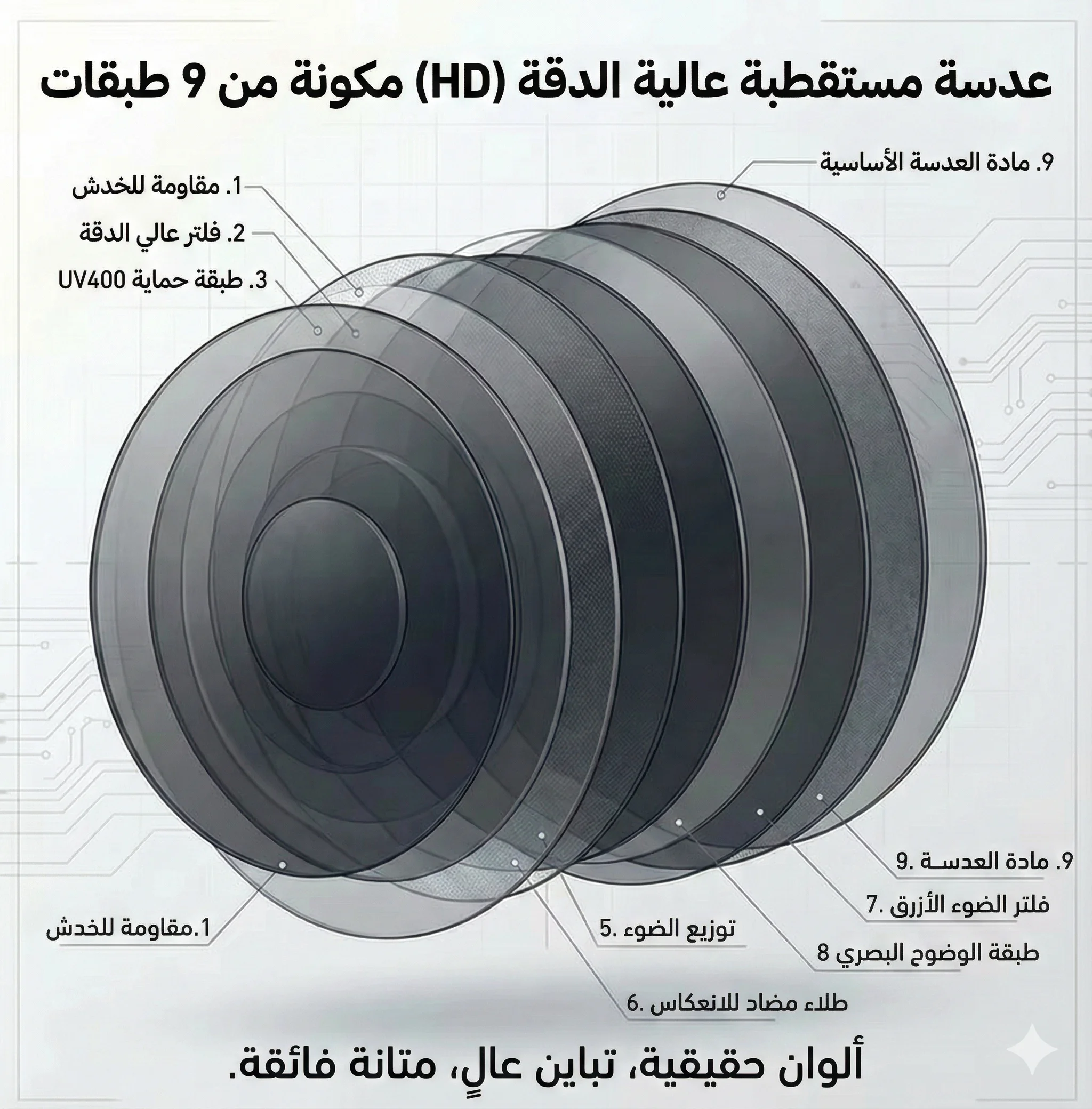 طبقات العدسة
